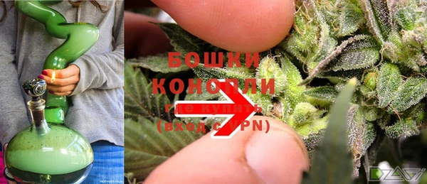 бутират Гусев