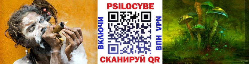 закладка  Сальск  omg ТОР  мориарти состав  Галлюциногенные грибы Magic Shrooms 