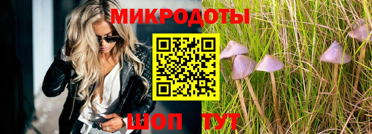 Галлюциногенные грибы мицелий  Галлюциногенные грибы GOLDEN TEACHER  Сальск  Вход с VPN 